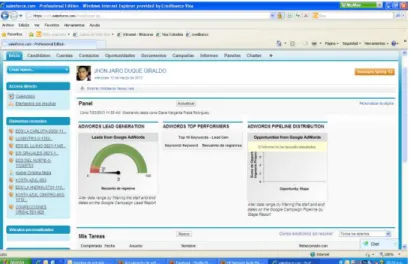 Figura 2 Ambiente de trabajo de Salesforce.com 