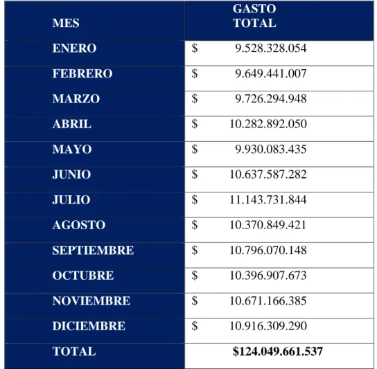 Tabla 1. Cuenta de gasto total Audifarma año 2014 
