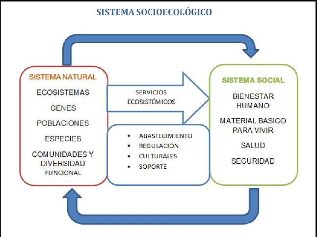 Ilustración 1. Sistema Socioecológico 