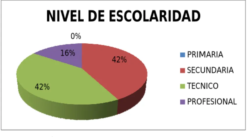 Gráfico 4: NIVEL DE ESCOLARIDAD 
