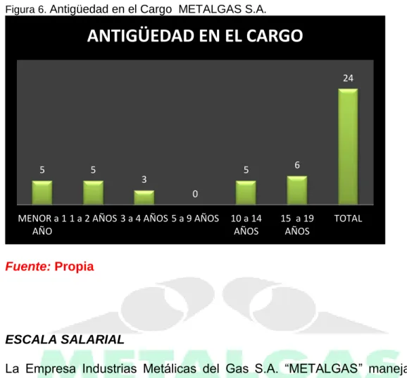 Figura 6.  Antigüedad en el Cargo  METALGAS S.A. 