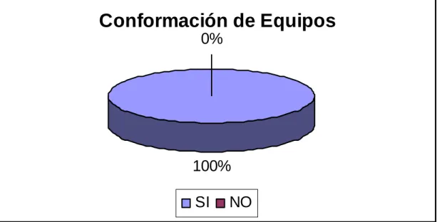 Figura 11. Conformación de equipos 