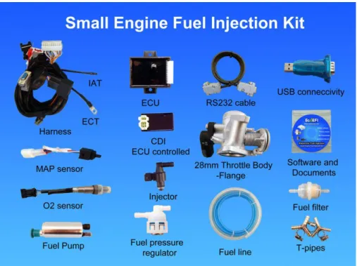 Figura 1 Small engine fuel injection kit 30ccTo 300cc, 