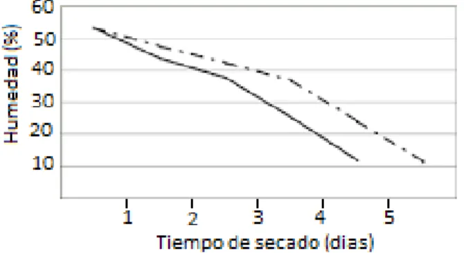 Figura 2.7: Curva de secado con el m´ etodo de secado al sol[6].