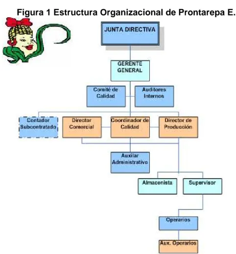 Figura 1 Estructura Organizacional de Prontarepa E.U. 