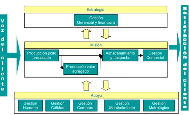 Figura 1. Mapa de procesos Proavir S.A. 