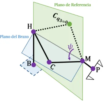 Figura 8: Representación de la definición del ángulo del brazo.
