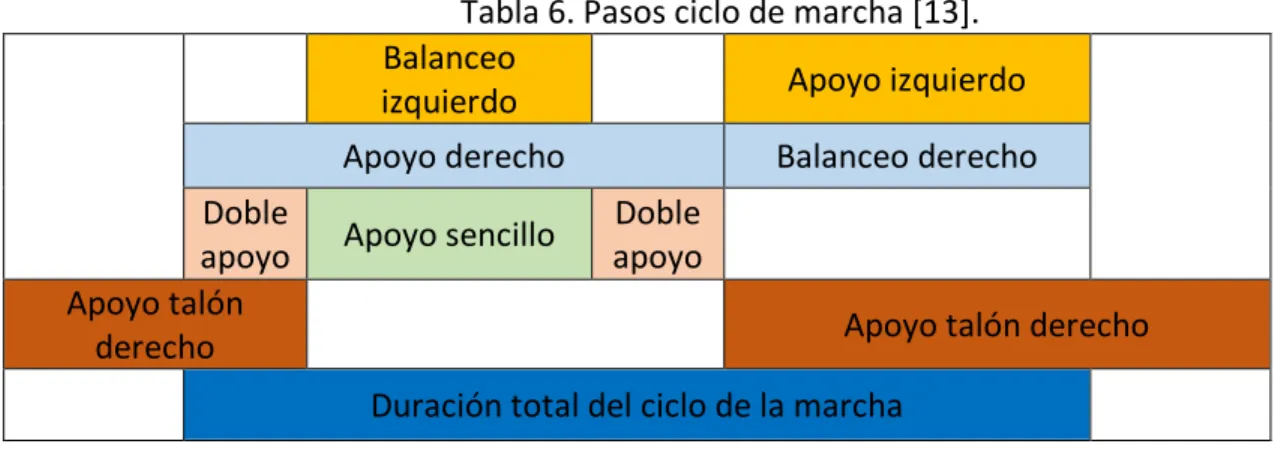 Tabla 6. Pasos ciclo de marcha [13]. 