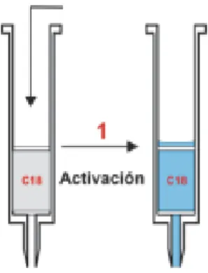 Figura 11. Etapa de acondicionamiento SPE 