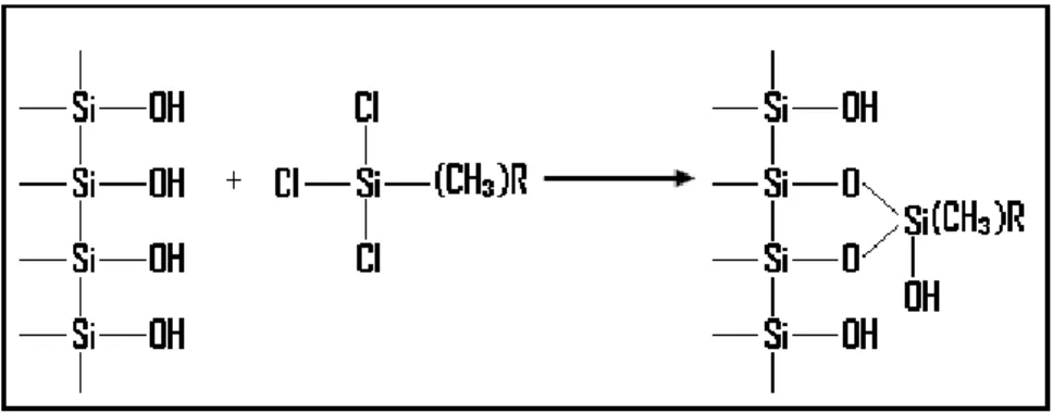 Figura 7. Reacción de formación de derivados trifuncionales de la sílica. 