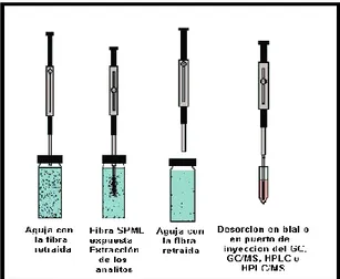 Figura 11. Diagrama del proceso de extracción DI-SPME. 