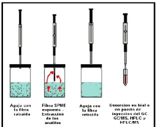 Figura 12. Diagrama del proceso de extracción HS-SPME. 