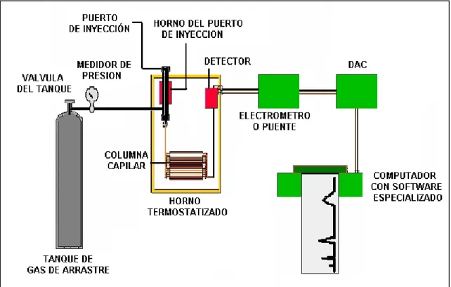 Figura 13. Esquema general de un Cromatógrafo de gases. 