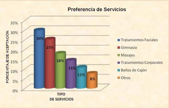 Figura  7.-  Servicios 