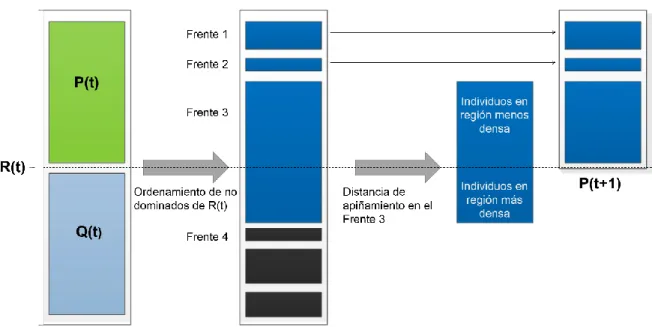 Figura 1. Proceso de formación de la población del algoritmo NSGA-II. Elaboración propia con base en [7]