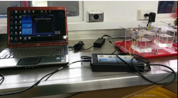 FIGURA 9 conexiones con el equipo electroquímico. 