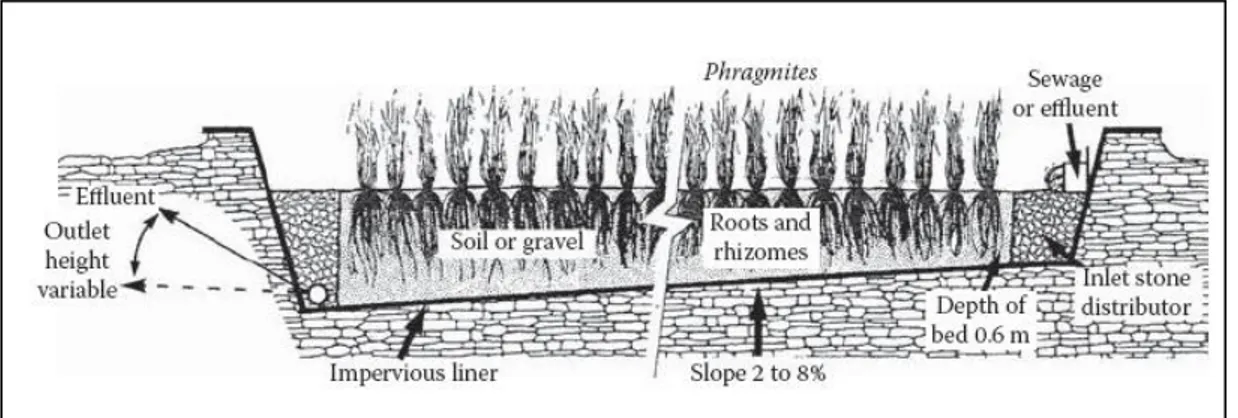 Figura 2. Esquema de un Humedal de Flujo Subsuperficial Horizontal (Adaptado de Kadlec y Wallace, 2009)