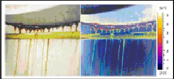 Figura 6. Ejemplos de termografía 