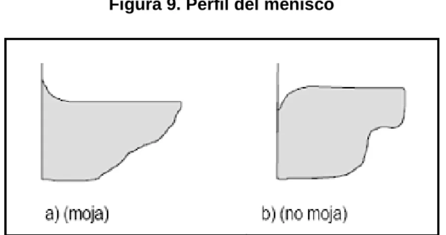 Figura 9. Perfil del menisco 