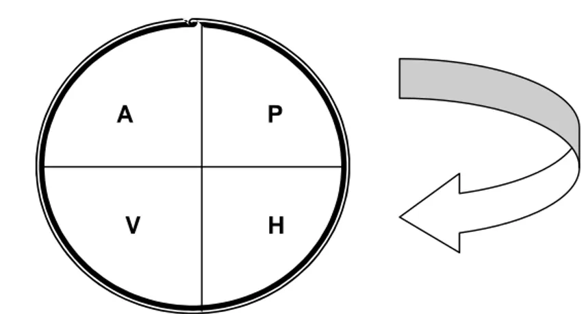 Figura 1. Ciclo PHVA 