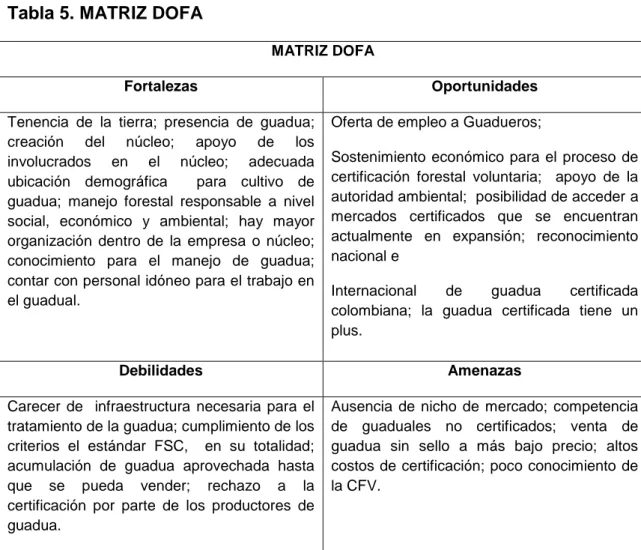 Tabla 5. MATRIZ DOFA   