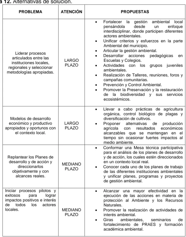 Tabla 12. Alternativas de solución.  