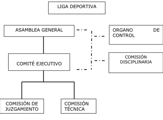 Figura 4. Estructura de una liga deportiva 