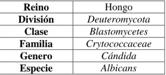 Tabla 1. Clasificación taxonómica de Cándida albicans  16 2.3.3.2. Micología 