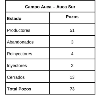 Tabla 1.4: Estado actual de los pozos del Campo Auca - Auca Sur 