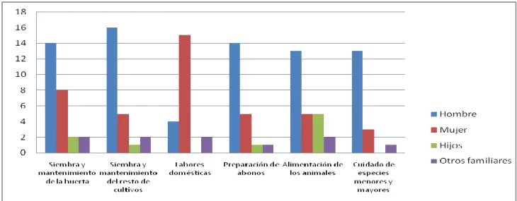 Figura 6. Distribución de labores entre los miembros familiares. 
