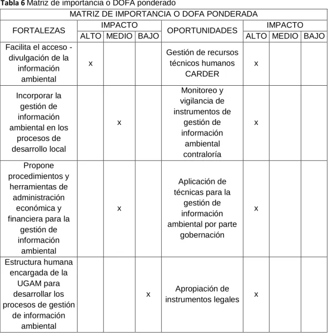 Tabla 6 Matriz de importancia o DOFA ponderado 