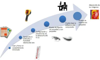 Figura 8: Procedimiento Del Protocolo Experimental 