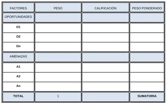 Tabla 2.2 -  Matriz EFE 
