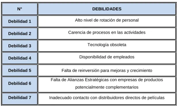 Tabla 3.3 - Debilidades de la empresa 