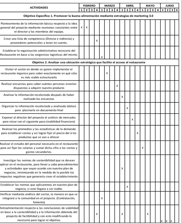 Tabla 1. Cronograma de actividades 