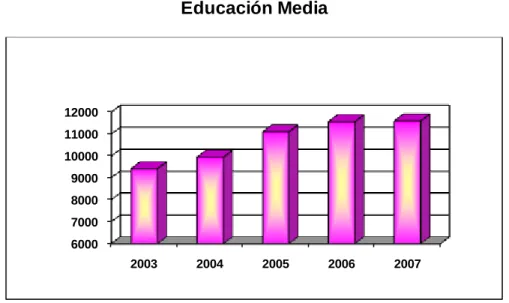 Gráfico 8  Educación Media 