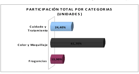Gráfico 3.2 Participación Total por Categorías (Unidades) 
