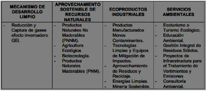 Tabla 10 División de los Productos Ambientales 