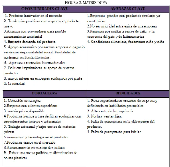 FIGURA 2. MATRIZ DOFA 