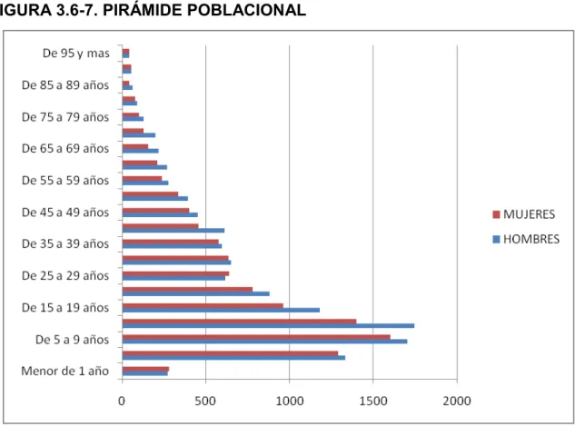 FIGURA 3.6-7. PIRÁMIDE POBLACIONAL 