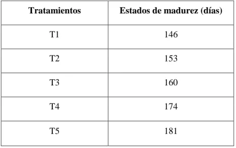 Tabla 6. Tratamientos para la determinación del estado de madurez del grano para la  elaboración de chuchuca