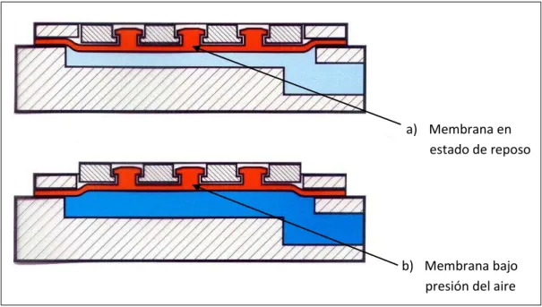 Figura 23. Cilindros de simple efecto de membrana.  25 