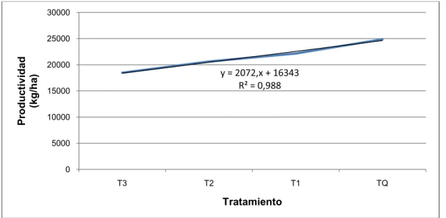 Figura 7. Tendencia en la productividad de brócoli bajo diferentes concentraciones de  fertilización química