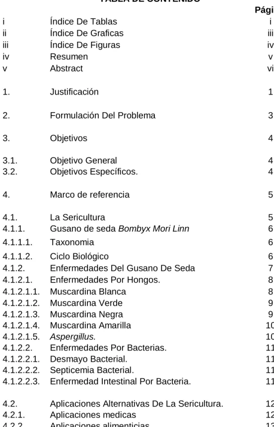 TABLA DE CONTENIDO 