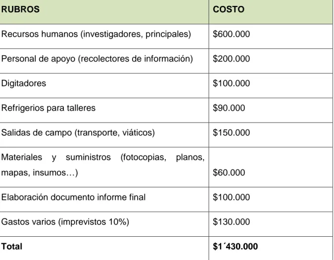 Cuadro Presupuesto 