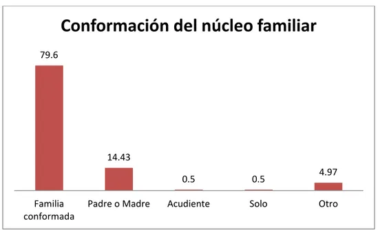 Gráfico 5. Conformación Núcleo familiar 