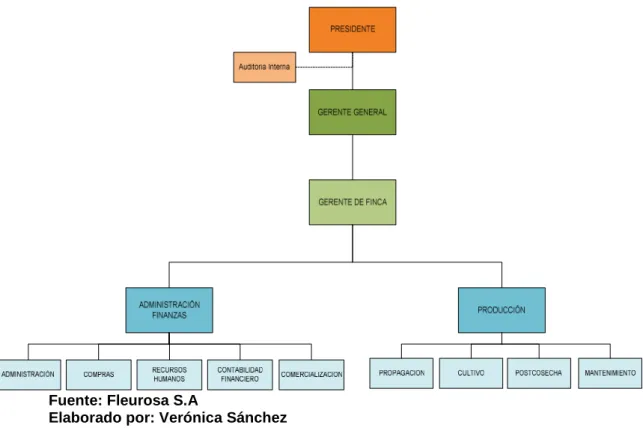 GRÁFICO 3.5 