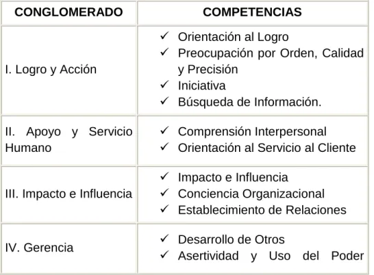 Tabla 4.1  Resumen de las Competencias de Hay Mcber. 