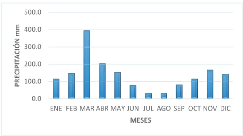 GRÁFICO 2.2 PRECIPITACIONES 