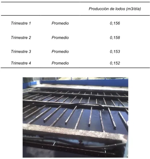 Tabla 12. Producción de Lodo en la PTAP Belén de Umbría por trimestre 